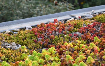 the cost of Terrible Down green roof installation