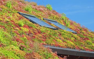 Terrible Down living roof systems