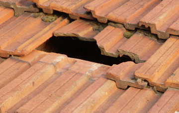 roof repair Terrible Down, East Sussex